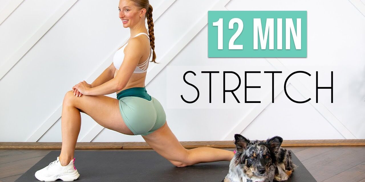 7 ESSENTIAL STRETCHES YOU NEED TO DO DAILY! (12 min Stretch for Flexibility & Mobility)