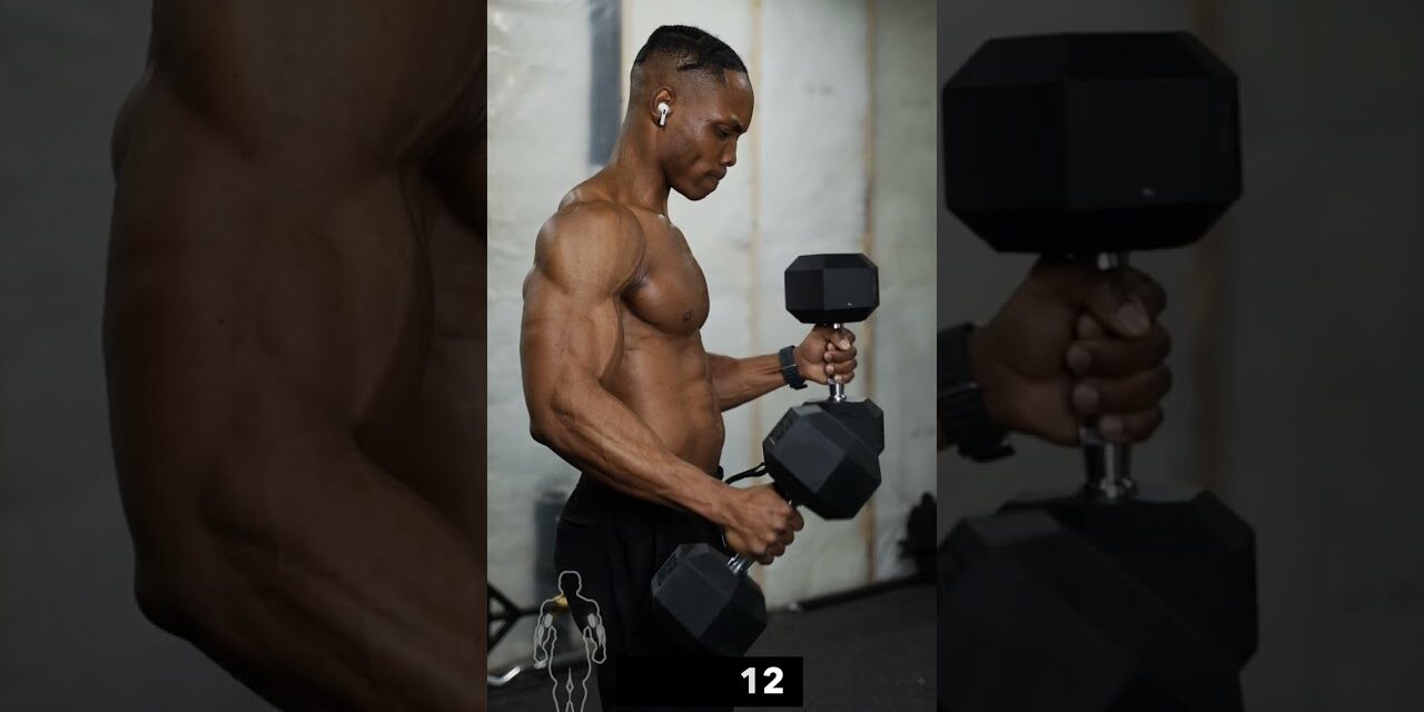 Build Your Biceps & Forearms Using Dumbbells Only! #2