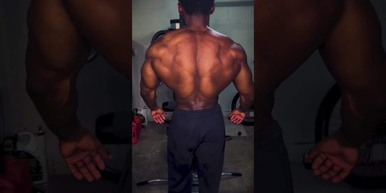 Home Gym Back Workout