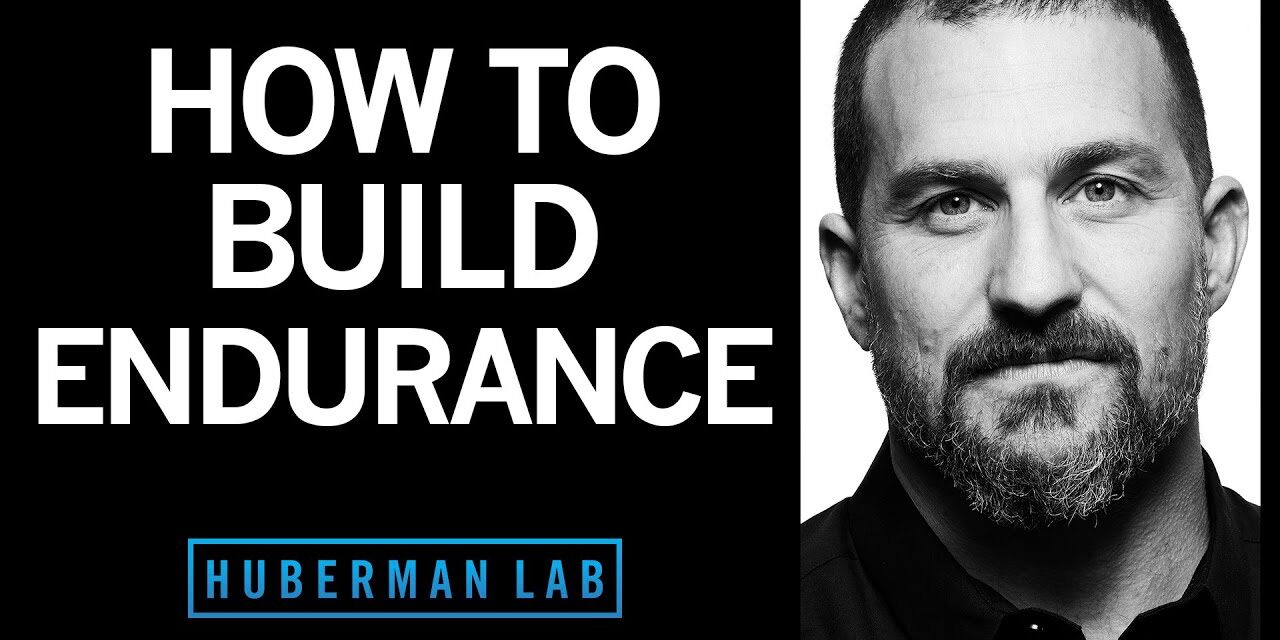 How to Build Endurance in Your Brain & Body