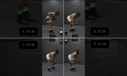dumbbell only back day workout