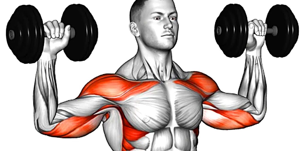 10 Best Dumbbell Exercises for Building Muscle At Home