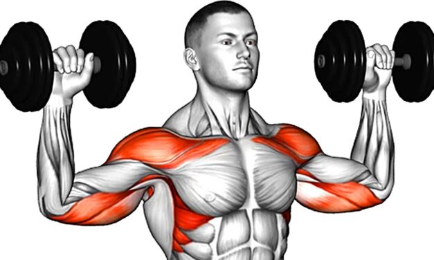 10 Best Dumbbell Exercises for Building Muscle At Home