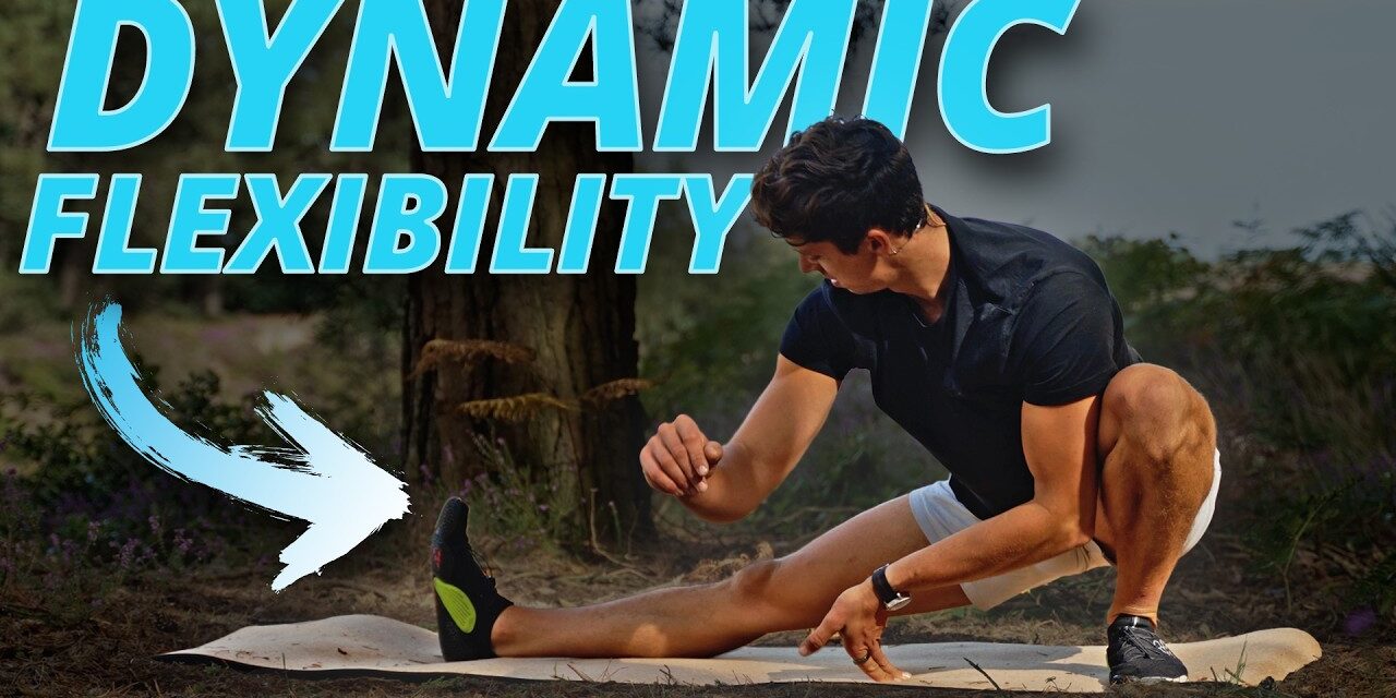 30 Minute Dynamic Flexibility Routine! (FOLLOW ALONG)