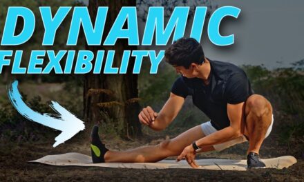 30 Minute Dynamic Flexibility Routine! (FOLLOW ALONG)