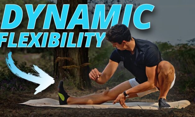 30 Minute Dynamic Flexibility Routine! (FOLLOW ALONG)