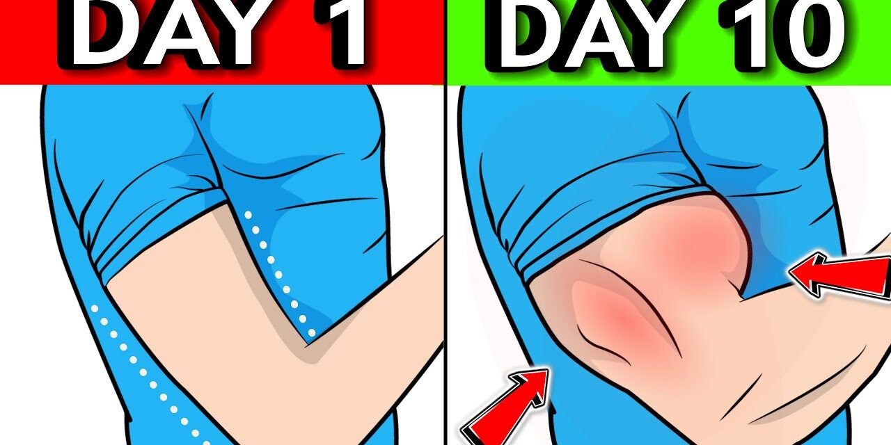 7 Min 7 Exercises To Build Big ARMS (NO EQUIPMENT)