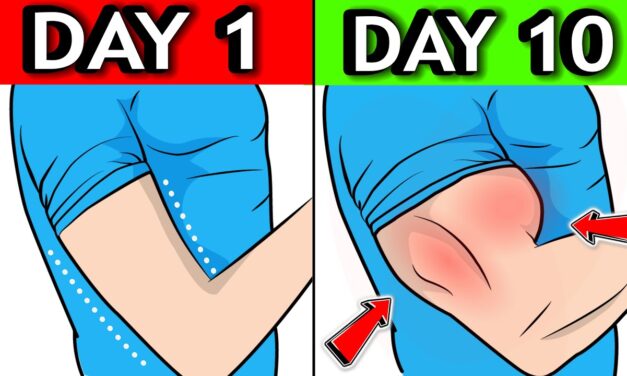 7 Min 7 Exercises To Build Big ARMS (NO EQUIPMENT)