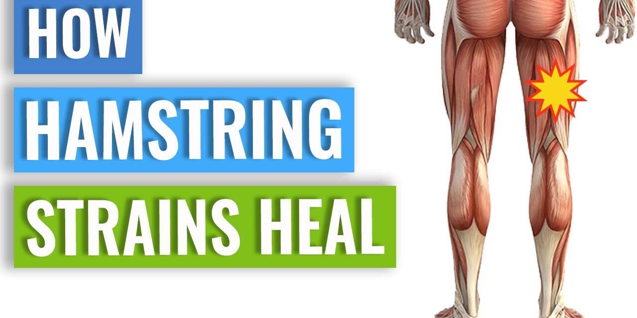Hamstring Strain Healing – How Your Body Heals A Hamstring Strain