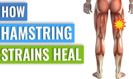 Hamstring Strain Healing – How Your Body Heals A Hamstring Strain
