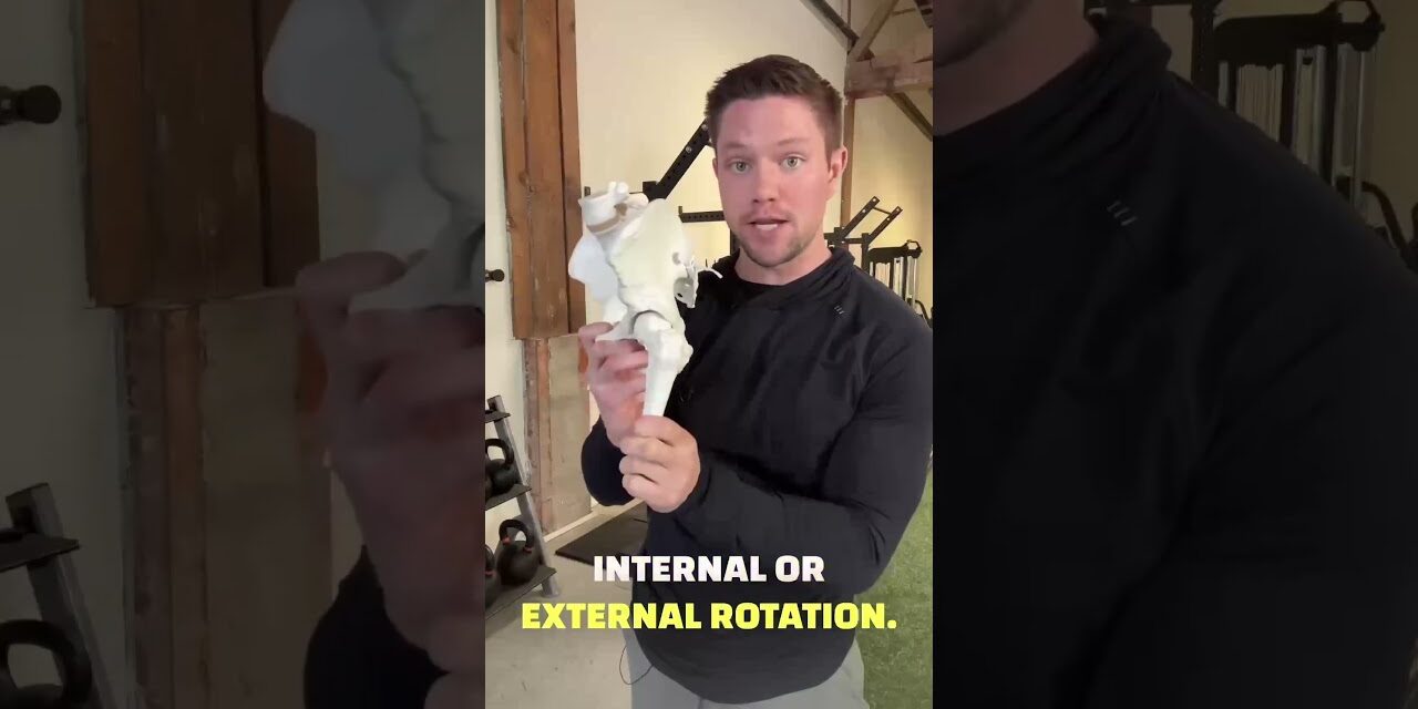 Hip Mobility Explained In 15 Seconds #mobility #hipmobility #flexibility #fitness #mobilitywork