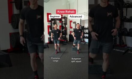 Knee Pain Exercises: Beginner vs Advanced