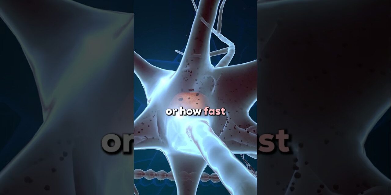 Strength Gains Through Nervous System Adaptations