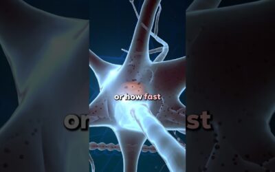 Strength Gains Through Nervous System Adaptations