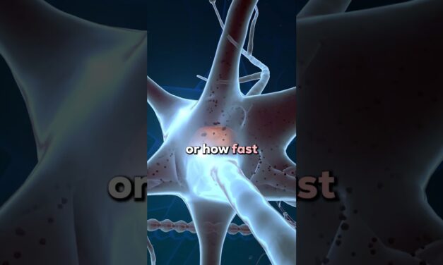 Strength Gains Through Nervous System Adaptations