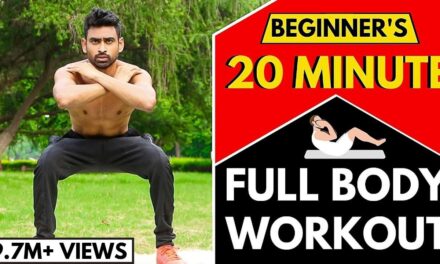 20 Min Full Body Workout Routine for Beginners (Follow Along) | No Gym
