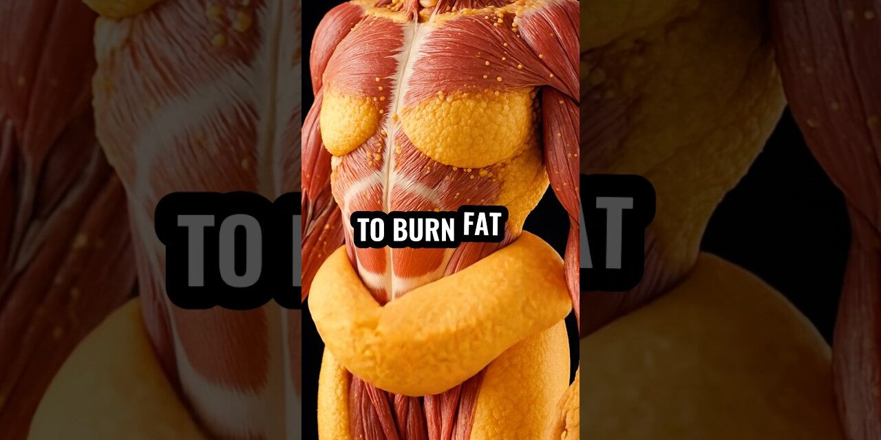 5 Fat-Melting Drinks You Need to Try NOW #shorts #health #explore