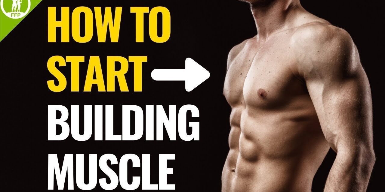 How To Start Building Muscle (For Beginners)