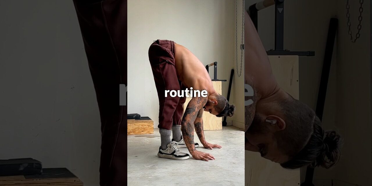 Master your Mobility Routine.