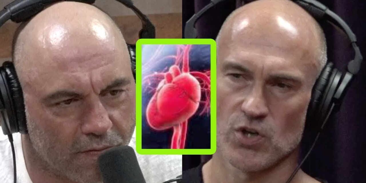 Pavel Tsatsouline: Building Endurance the Right Way