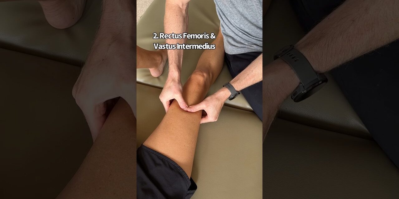 Quadriceps Muscle Mobilization #physicaltherapy #massage
