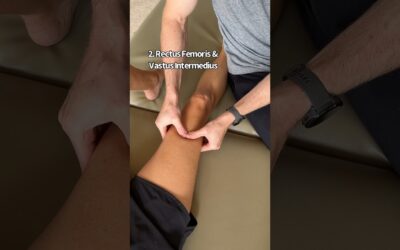 Quadriceps Muscle Mobilization #physicaltherapy #massage