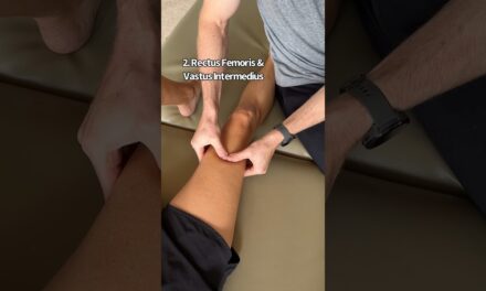 Quadriceps Muscle Mobilization #physicaltherapy #massage