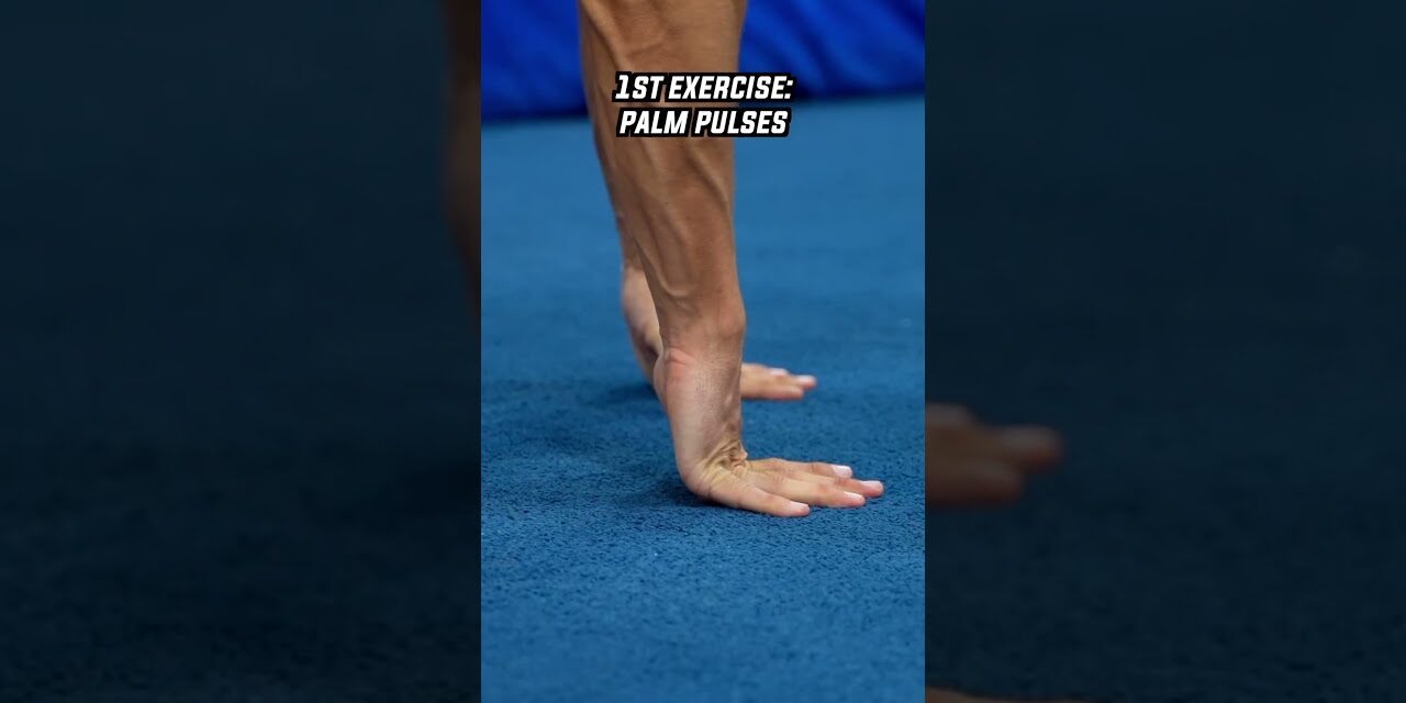 Top 4 Gymnast WRIST STRENGTH Exercises