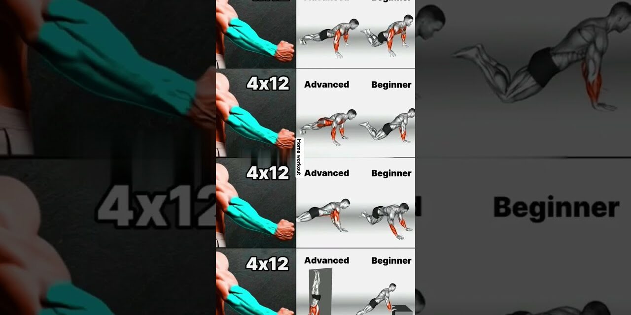 Best home workout of forearm, triceps and chest no equipment for beginners|#shorts #youtubeshorts