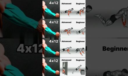 Best home workout of forearm, triceps and chest no equipment for beginners|#shorts #youtubeshorts