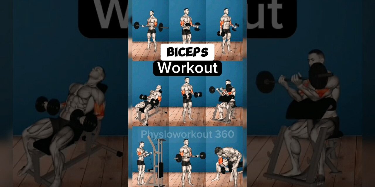Biceps Workout Exercises #workout #biceps #bicepsworkout #bodybuilding #musclebuilding #gym