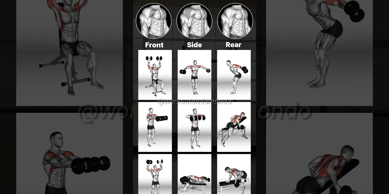 Build Stronger Shoulders: Best Targeted Shoulder Workouts!