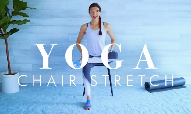 Chair Yoga Stretch for Beginners, Seniors & Everyone || 30 minutes