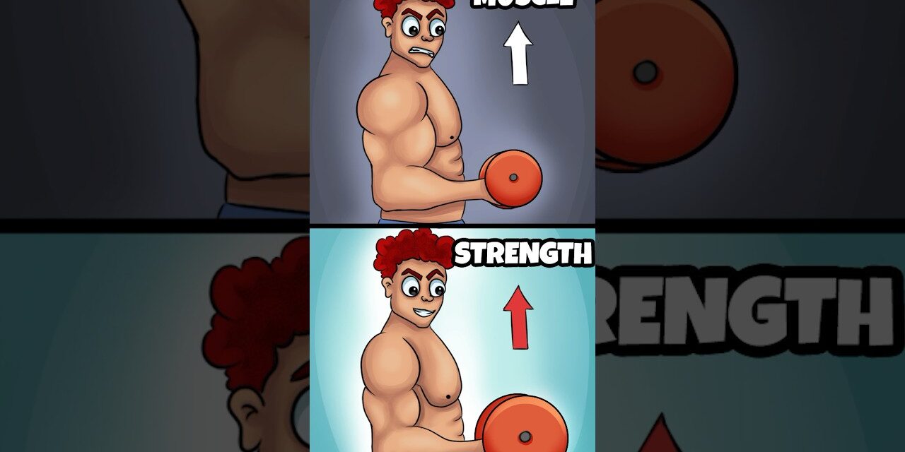 Does Muscle Size Equal Strength?