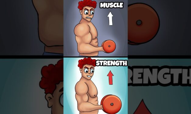 Does Muscle Size Equal Strength?