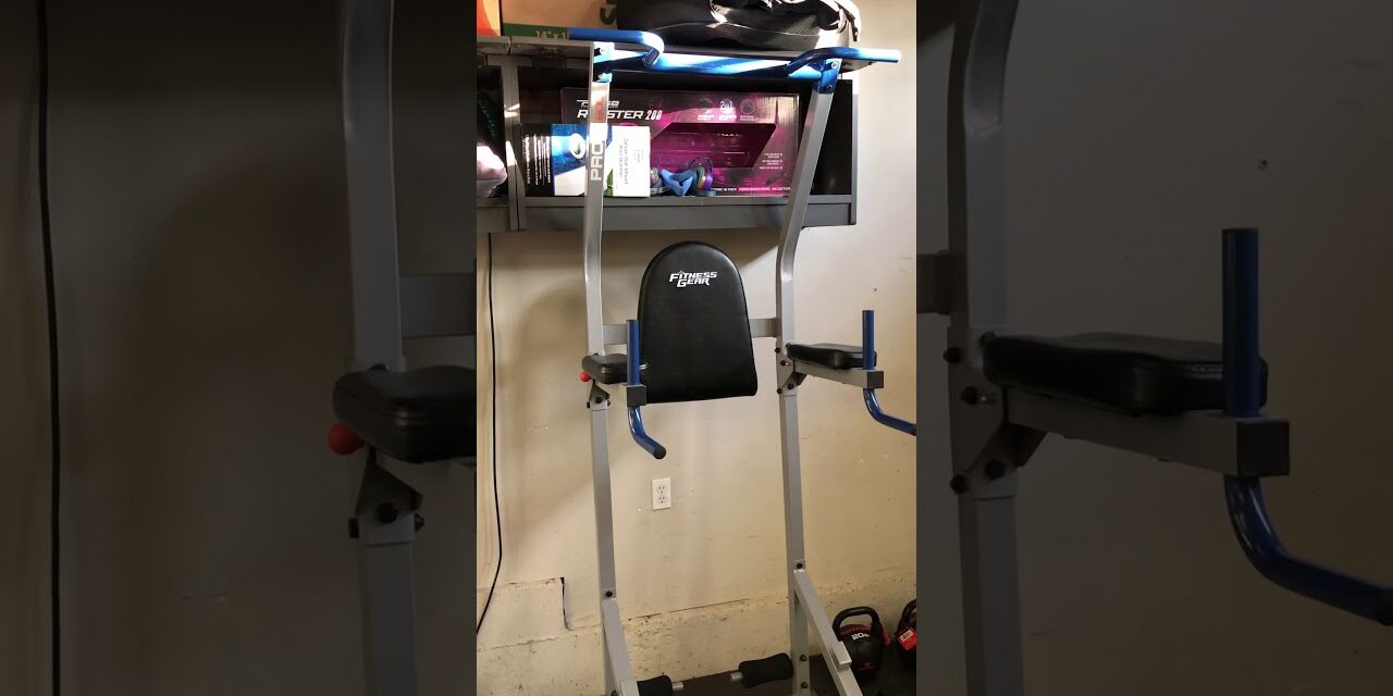 Fitness gear power tower review