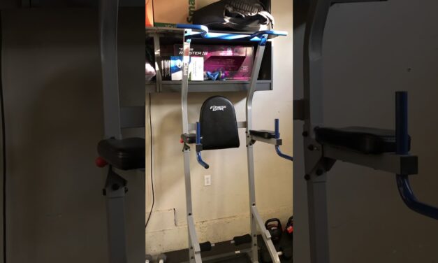 Fitness gear power tower review