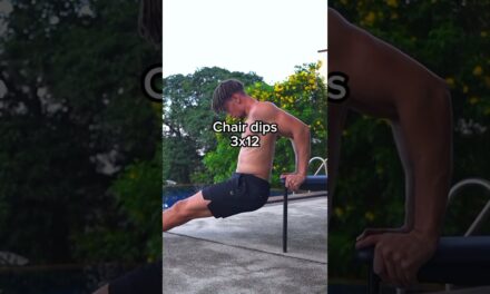 Full Body Home Workout NO Equipment