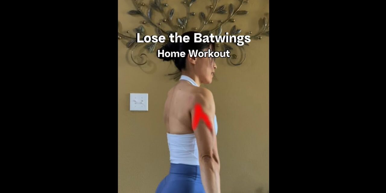 Home Workouts, No Equipment TRICEPS!