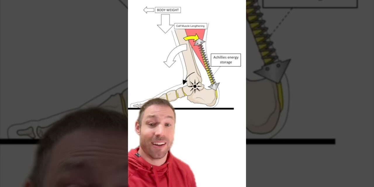 How To Fix Achilles Tendonitis!