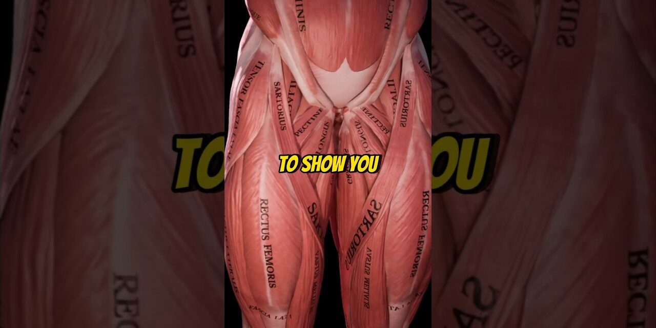 How To Fix Groin Pain (Adductor Strain)