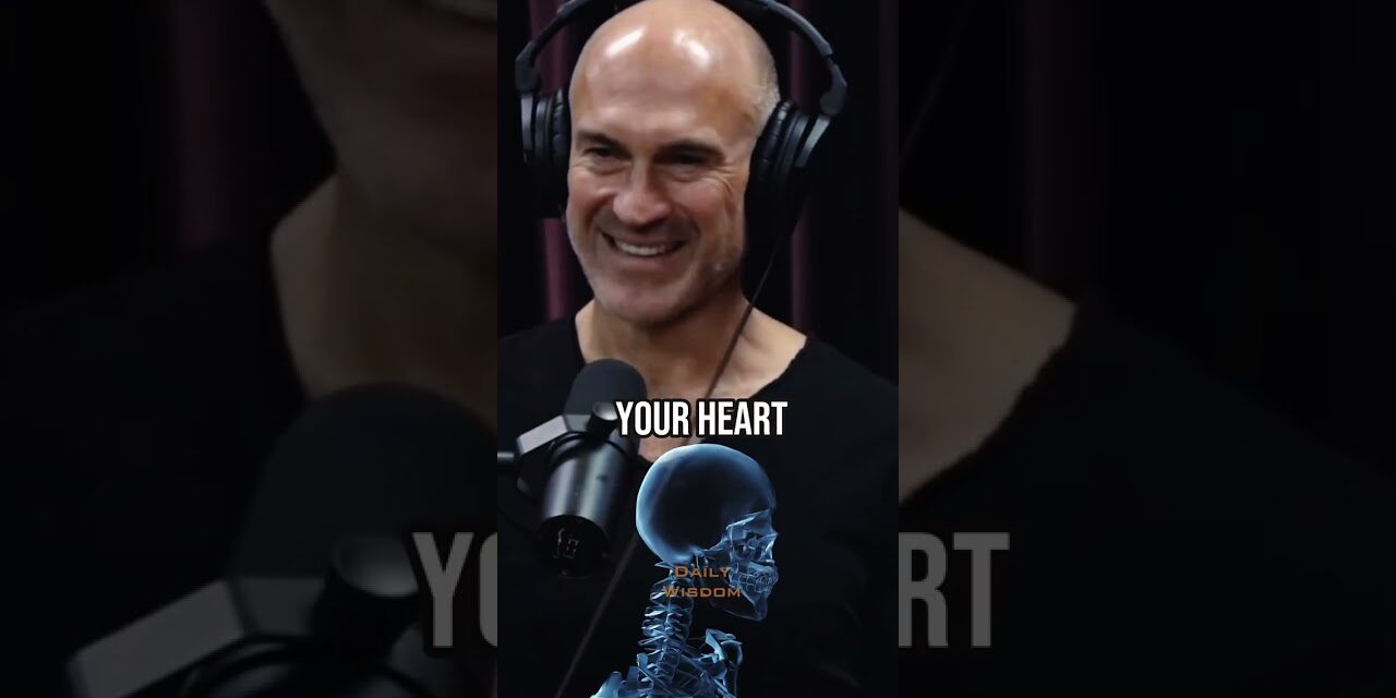 How to build Endurance and Cardio the right way when running – Pavel Tsatsouline & Joe Rogan Podcast