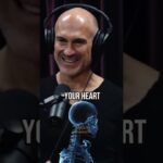 How to build Endurance and Cardio the right way when running – Pavel Tsatsouline & Joe Rogan Podcast