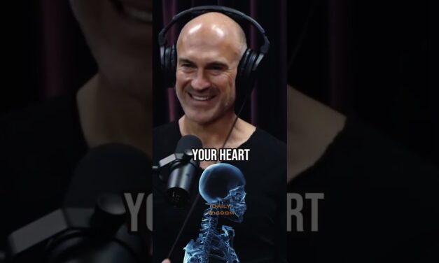 How to build Endurance and Cardio the right way when running – Pavel Tsatsouline & Joe Rogan Podcast