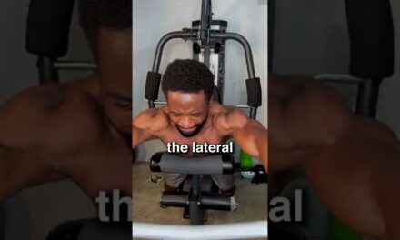 Multi Gym Shoulder Exercises