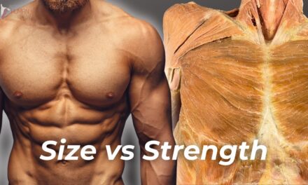 Strength vs Hypertrophy: The Science of How to Build Muscle