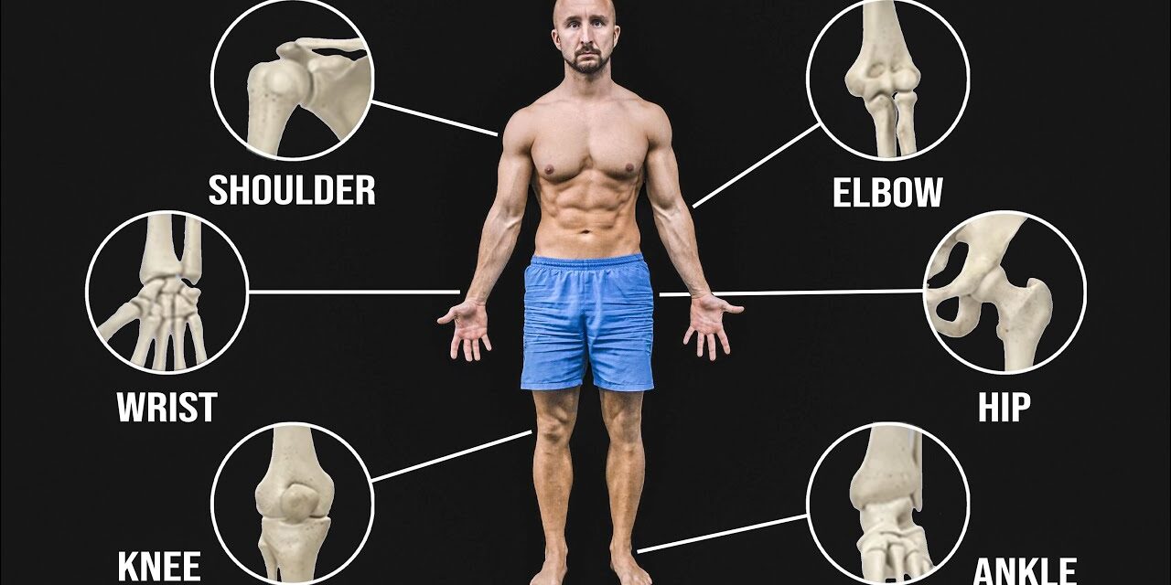 The BEST Mobility Exercises For Each Joint!