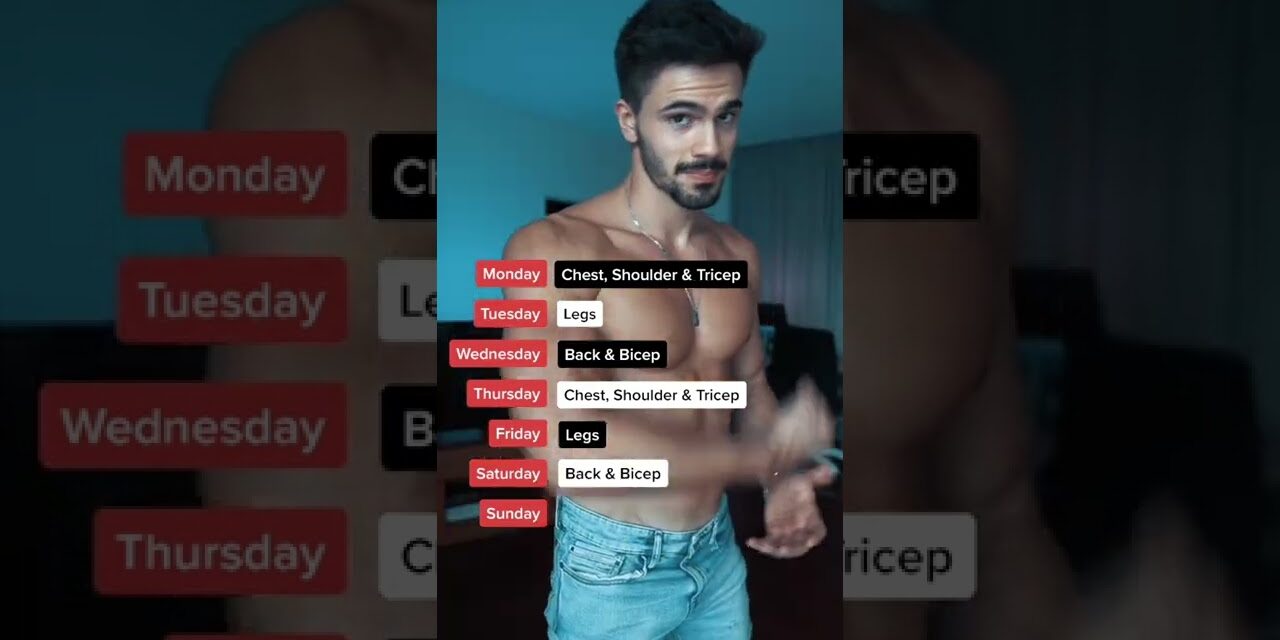 The Best Workout Split for Intermediate Lifters