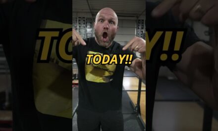 Top 4 Exercises for Lower Back Strength #shorts