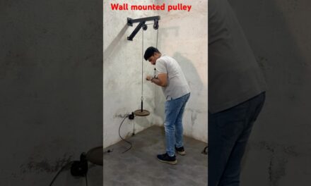 Wall mounted pulley #homegym #fitness #portablegym